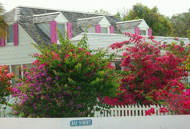 Click to See Next Image